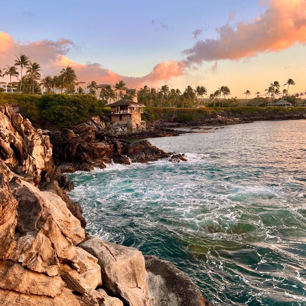 Meet your Posher, Mccall